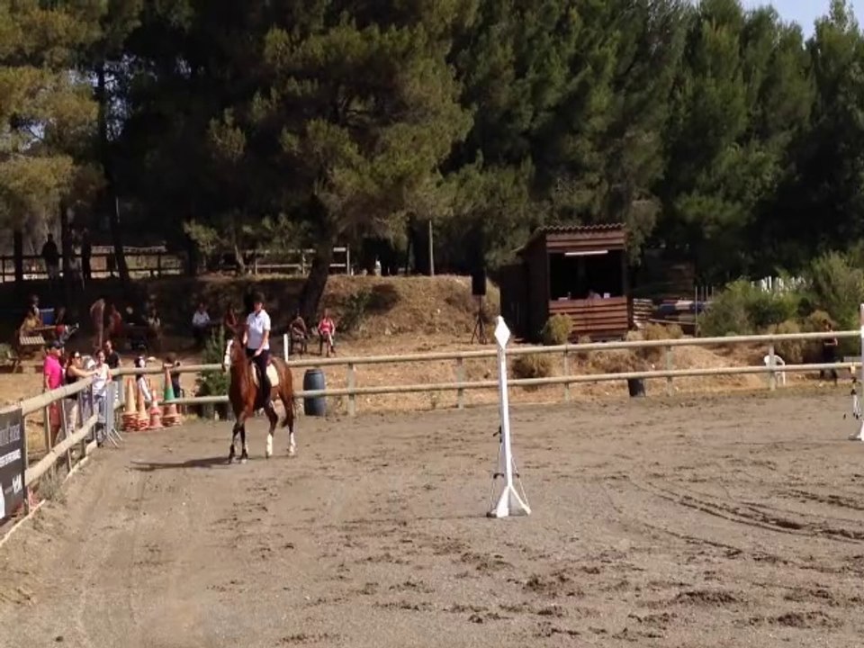 CSO aux Ponnes