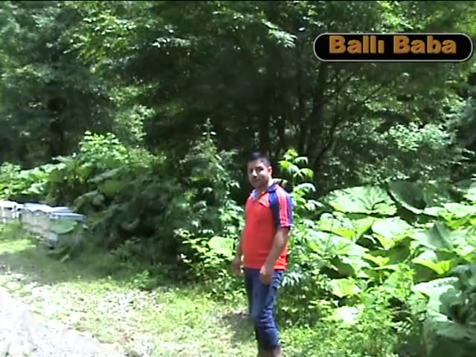 SELDEN SONRA ARILARIN DURUMU...08-06-2014