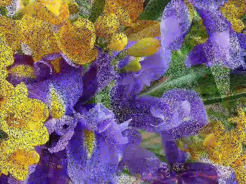 MÜSLÜM GÜRSES ASLA