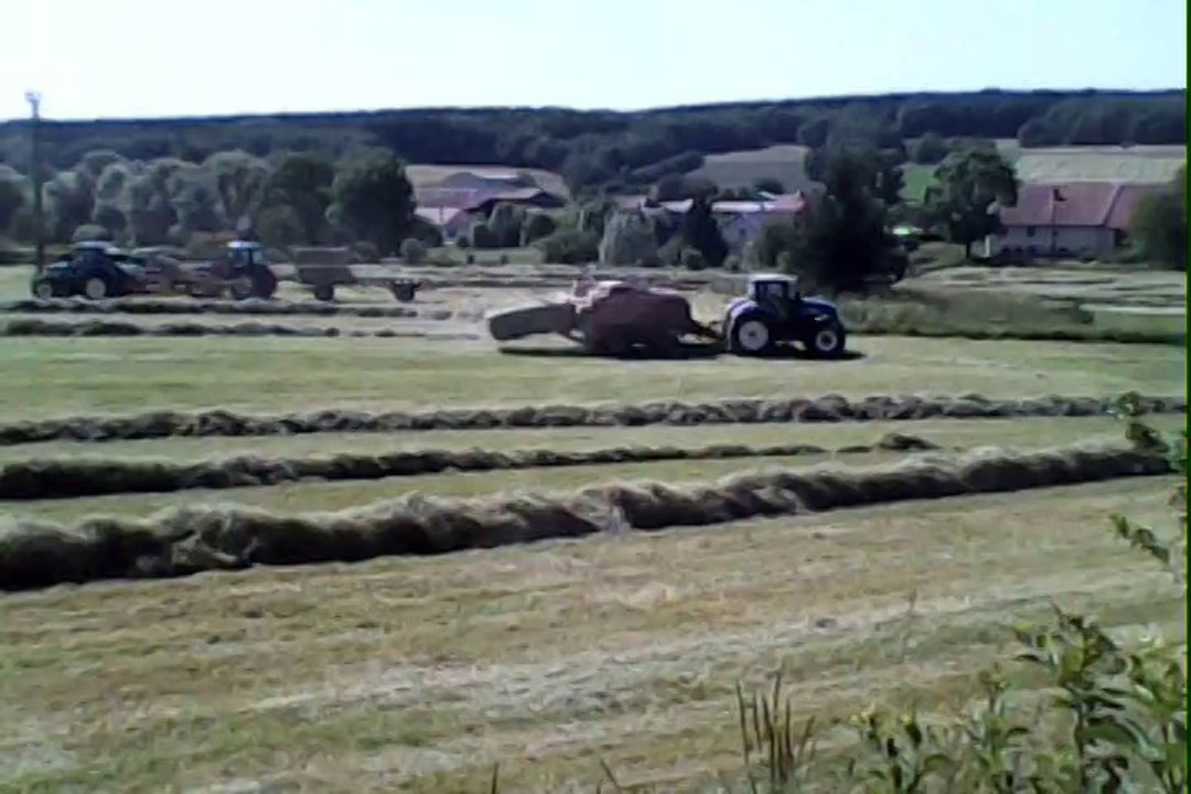 les  foins  a  verne