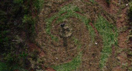 AYTIWS Reviews Chronicle