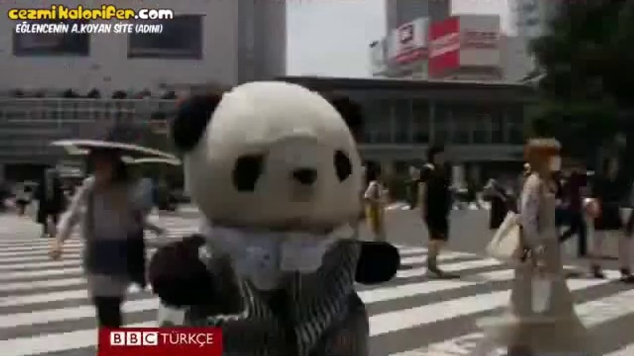 Oyuncaklarını Tatile Gönderen Japonlar