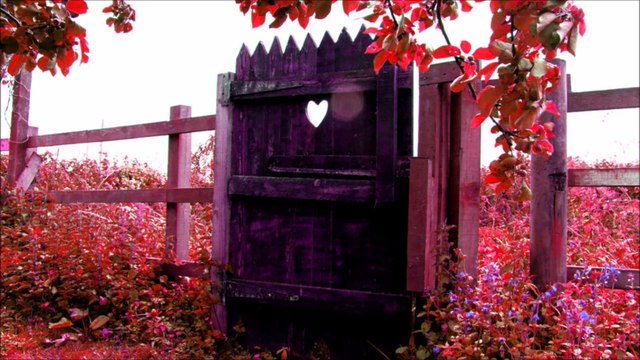 AŞK VE SEVGİ BENİM - UMUT'DA SENİNİN OLSUN