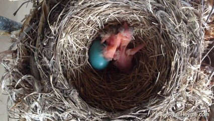 Summer is FINALLY here!!!