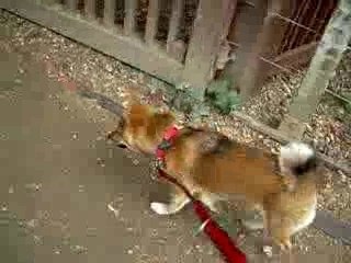 Paradis en ville 1 fev 2007