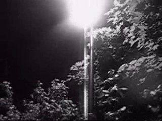 Capa.90's : Un instant dans la vie des artisans