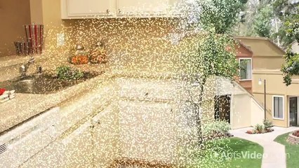 Alvista Canyon Apartments in Riverside, CA - ForRent.com