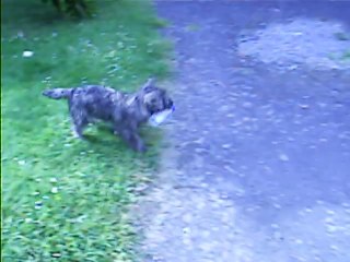 Jaudy à 9h ce matin