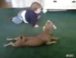 Bebek ile Köpeğin Emekleme Yarışı