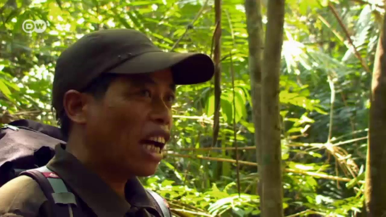 Vietnam: Kampf um die Bären | Global 3000