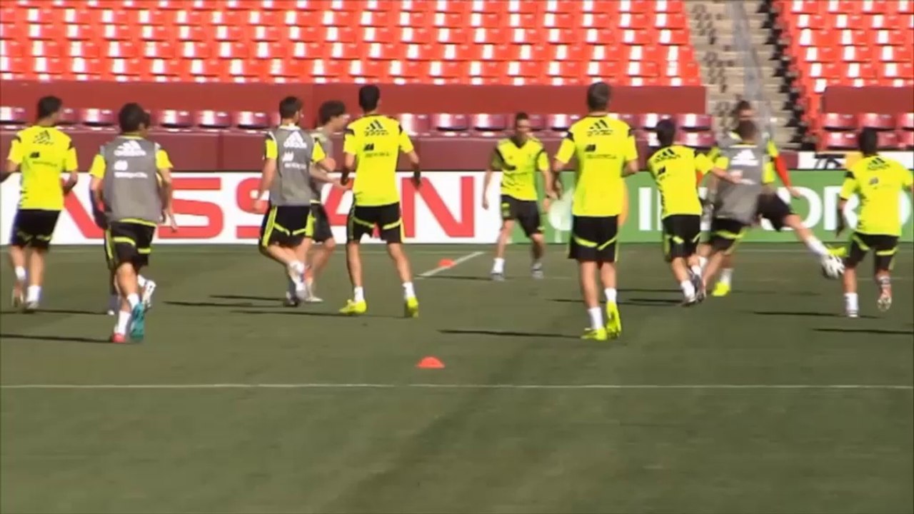 WM 2014: Salgado über Spanien: 'Historische Generation'