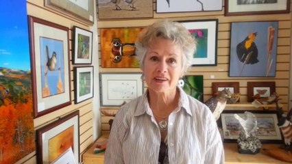 Seminars & Best Birding Review | Front Range Birding Company