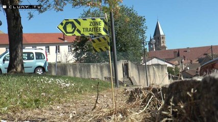 Usage des pesticides : le débat