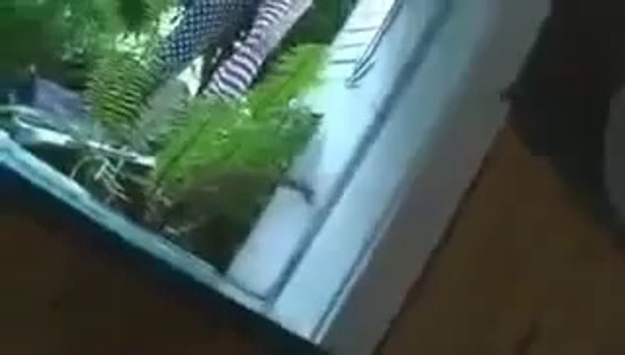 Ne jamais faire peur à quelqu'un mdrr ! a voir