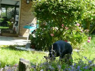 8 Juin 2014 Réunion Annuelle