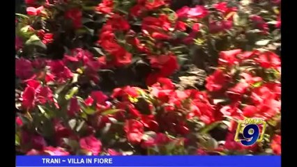 Trani | Villa in Fiore