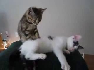 ☜블랙잭잘하기◇◑▨▶ ＹＡＭ ７７７.℃OM ◁▧■블랙잭잘하기블랙잭잘하기블랙잭잘하기블랙잭잘하기블랙잭잘하기블랙잭잘하기블랙잭잘하기블랙잭잘하기