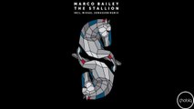 Marco Bailey - The Black Stallion (Original Mix) [Phobiq]
