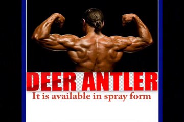 Detailed Information About Deer Antler