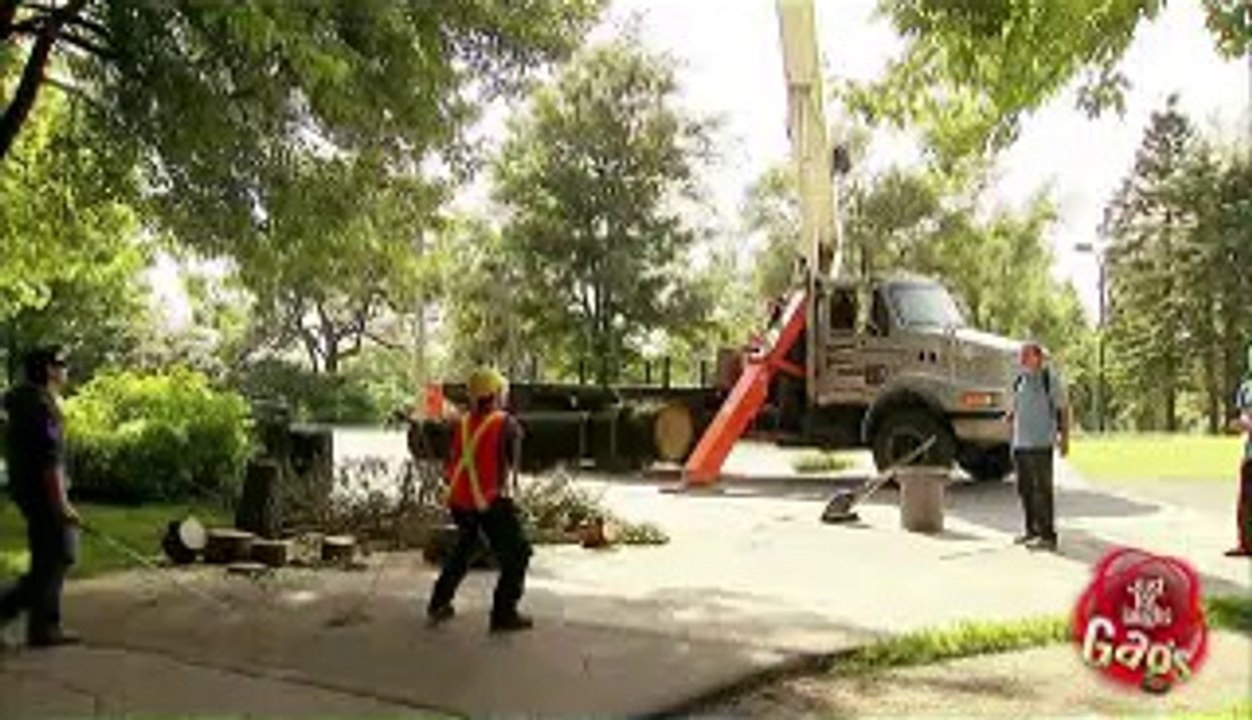 amber Fell Onto The Worker Funny Prank Video