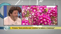 TV3 - Els Matins - Primera guia pràctica per conèixer la natura a Catalunya