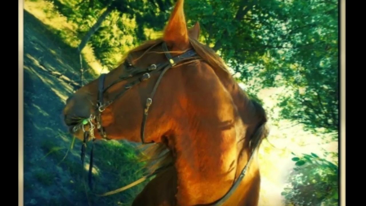 Утро в деревне... ...(music Paul Mauriat)... ...