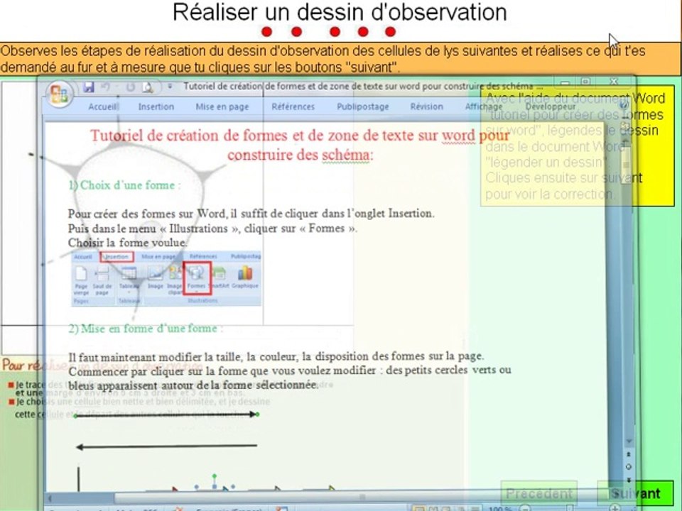 réaliser un dessin d'observation