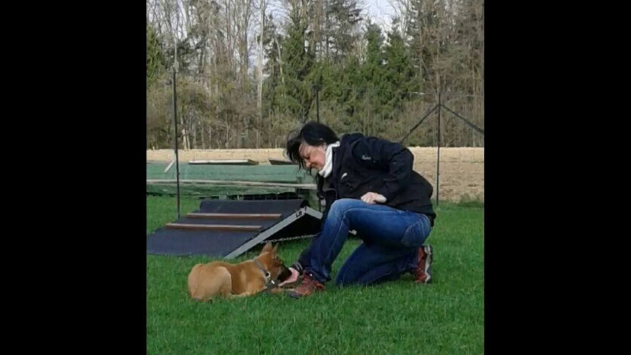 Be Aware Grisu @ 123 go Training