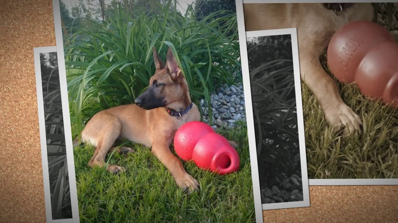 Be Aware Grisu @ Time goes fast