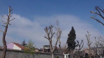 La mosquée bleue (Extérieur)