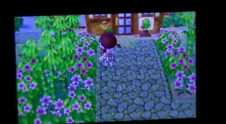 animal crossing new leaf