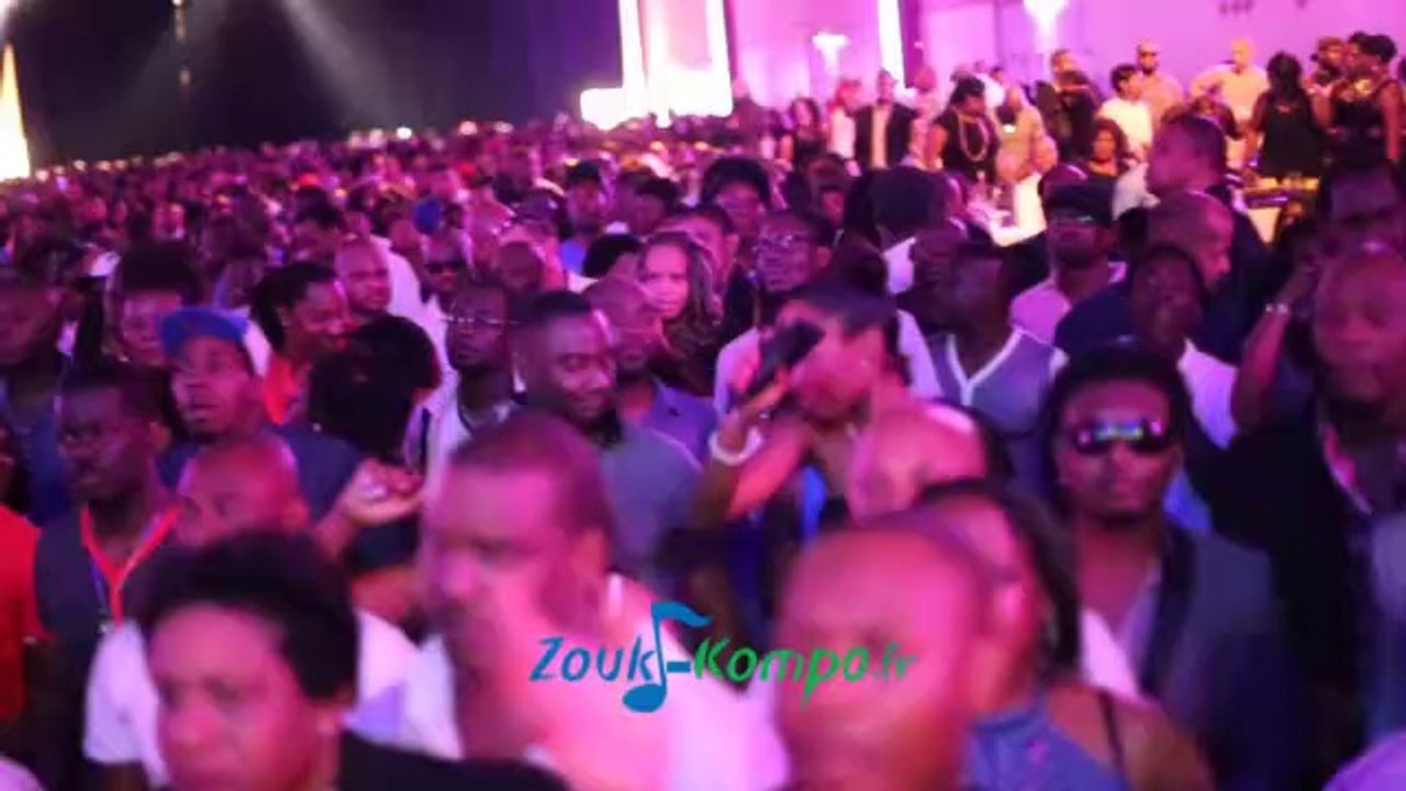 T-VICE en live au DOC PULLMAN le 7-04-14