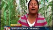 Ecuador: promueven sistemas familiares de agricultura en Quito
