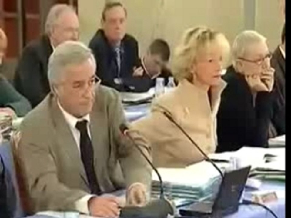 Conseil Municipal Dijon Janvier