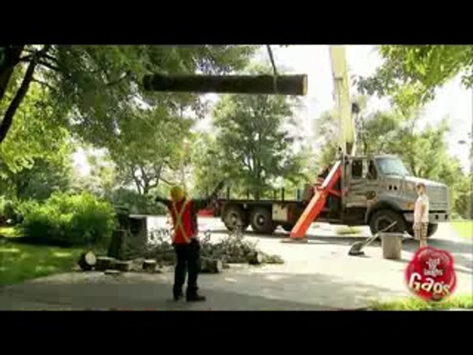 lumber fell onto the worker funny prank videos