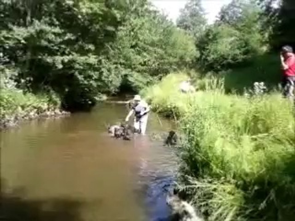 baignade  du 09-06-14