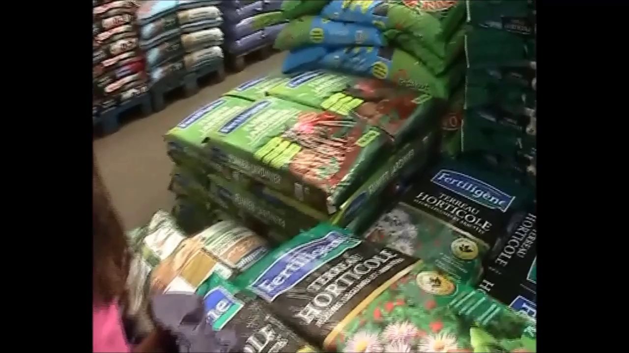 Up2jazz à Ma Jardinerie