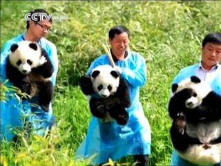 The most fun job in the world