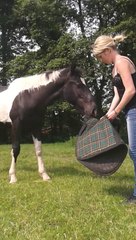 django et le tapis un vrai clown