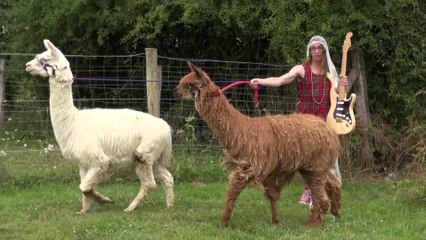 L'album des Alpagas - Shooting !!!