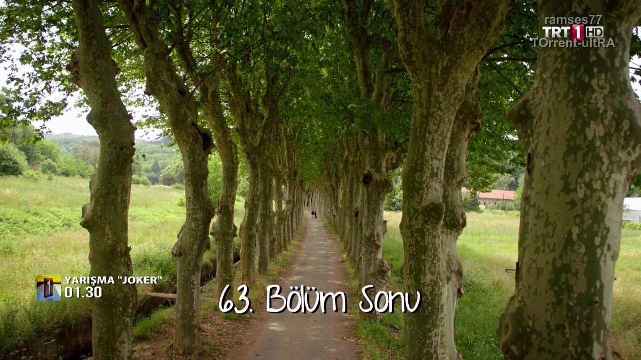 beni 6