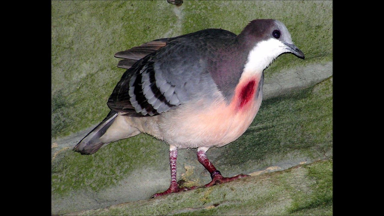 Senin için 10.6.2014