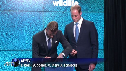 Príncipe William e Beckham em campanha pelos animais