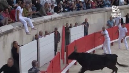 Feria de Pentecôte : La course camarguaise (Nîmes)