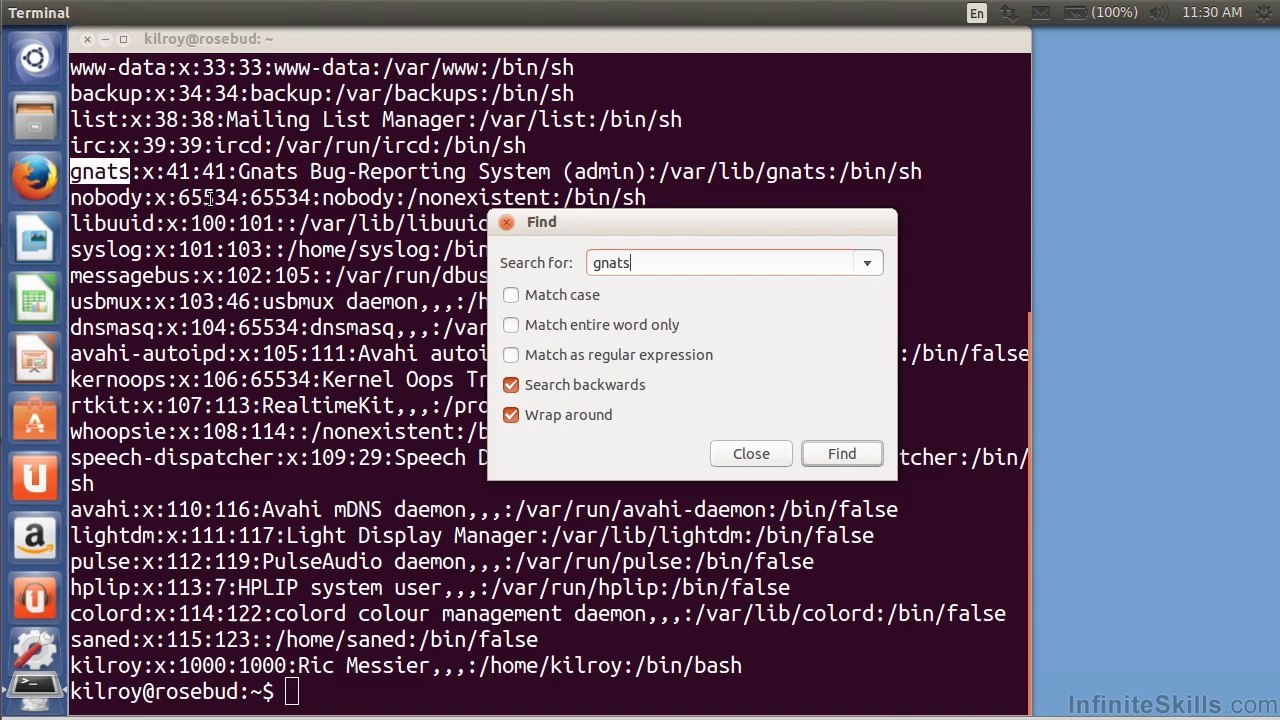 linux Using The Terminal