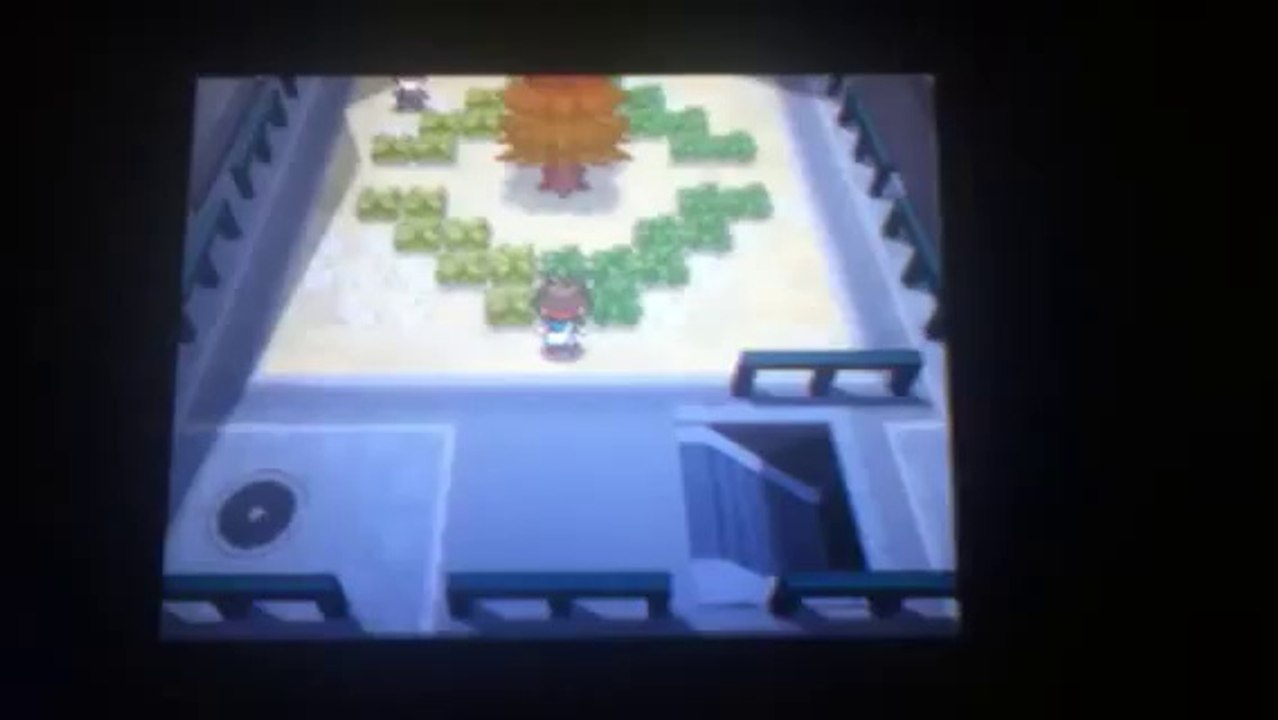 Como atrapar a Eevee en Pokémon Negro y Blanco 2