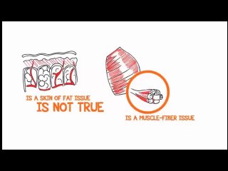 Cellulite Gone No Weight Loss No Gym Routine Review