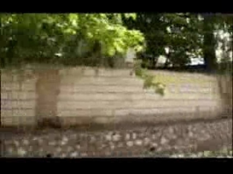 Richie Spice - Blood Again