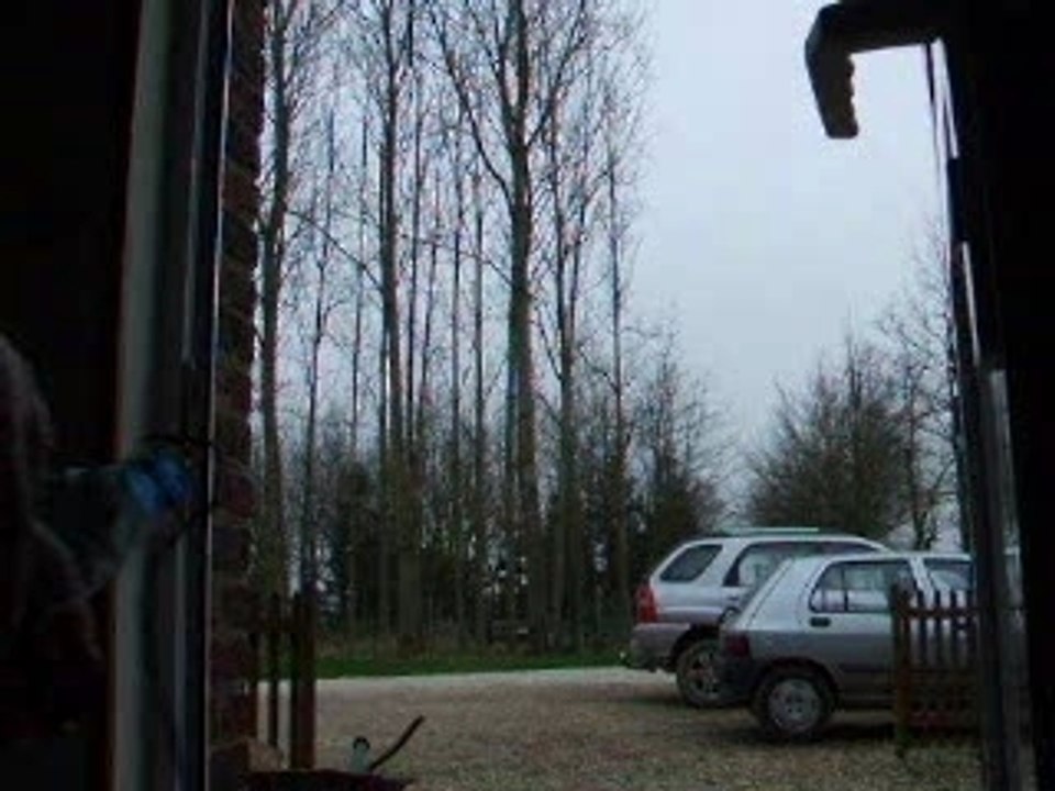 Patator en bouteille