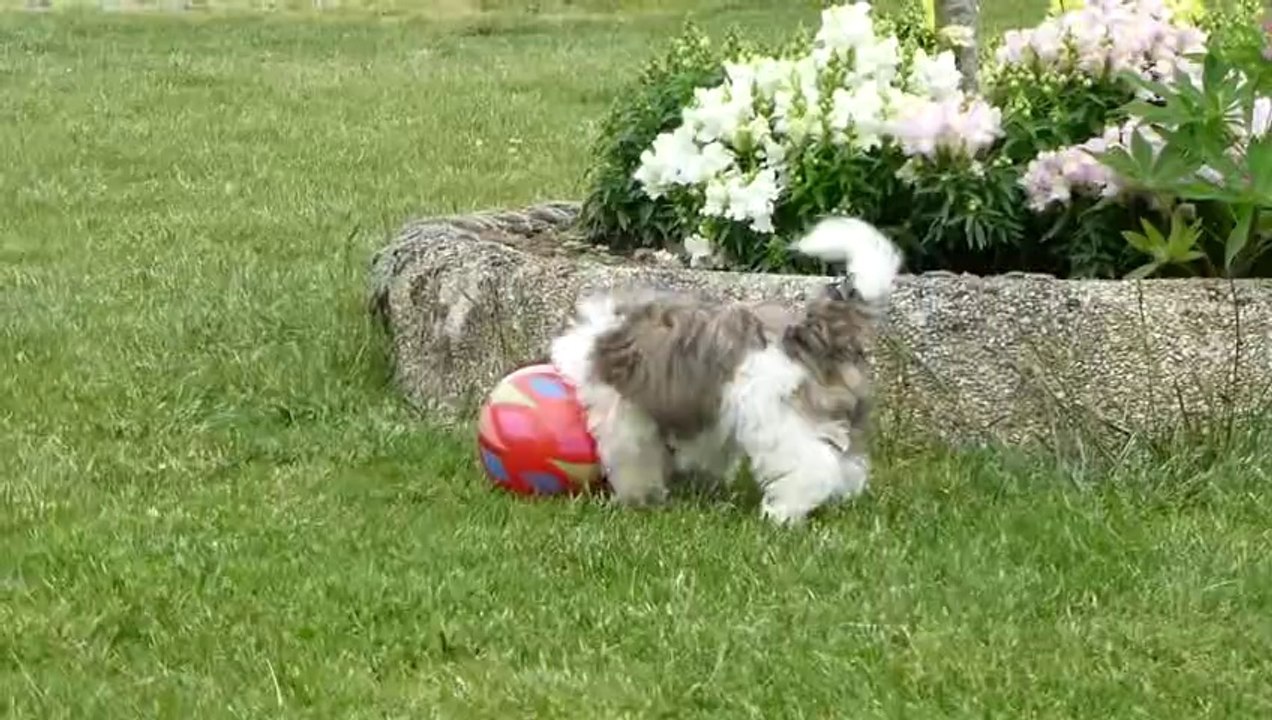 Jade et son ballon
